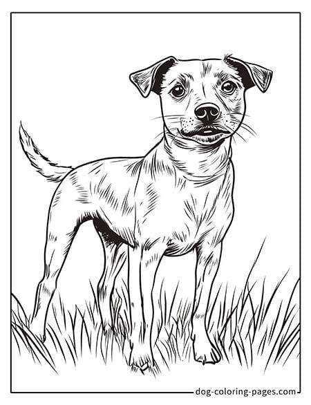 realistic dog coloring pages - standing on grass 01