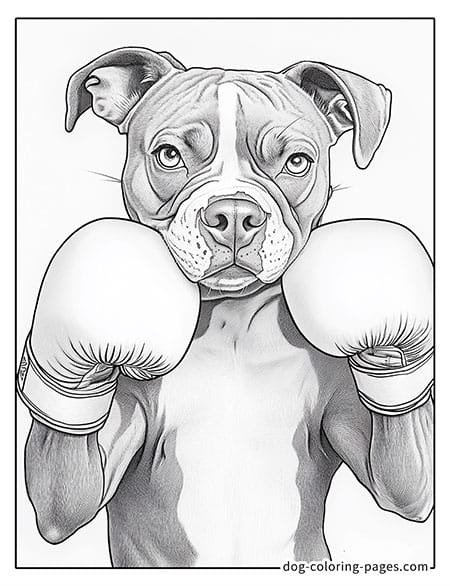 realistic dog coloring pages - wearing boxing gloves 02