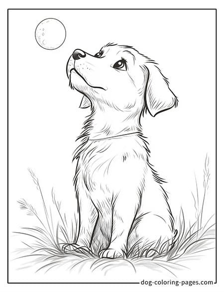 puppy squatting realistic dog coloring pages 05