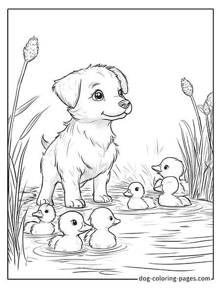 realistic dog coloring pages with ducklings 09