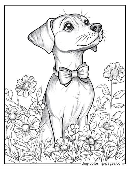 realistic dog coloring pages - with a large bow on its neck 11