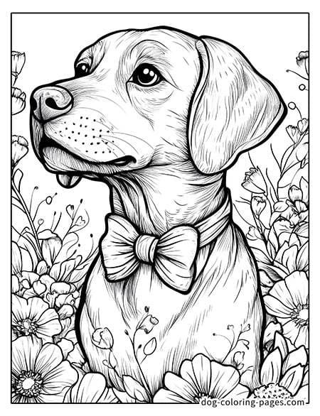 Disegni da colorare di cani realistici - Download gratuito di disegni stampabili 12