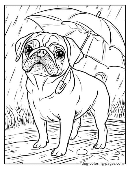 Pug Coloring Page - holding an umbrella-01