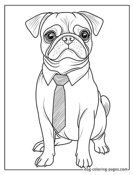 Pug Coloring Page - wearing a bow tie 02