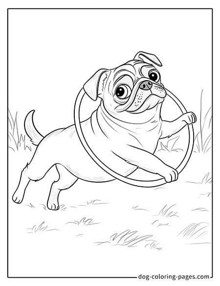 Pug Coloring Page - playing with a hula hoop 05