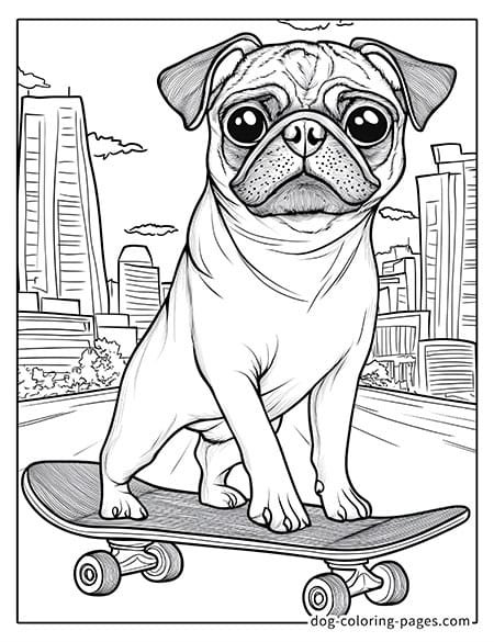 Pug Coloring Page - riding a scooter-07