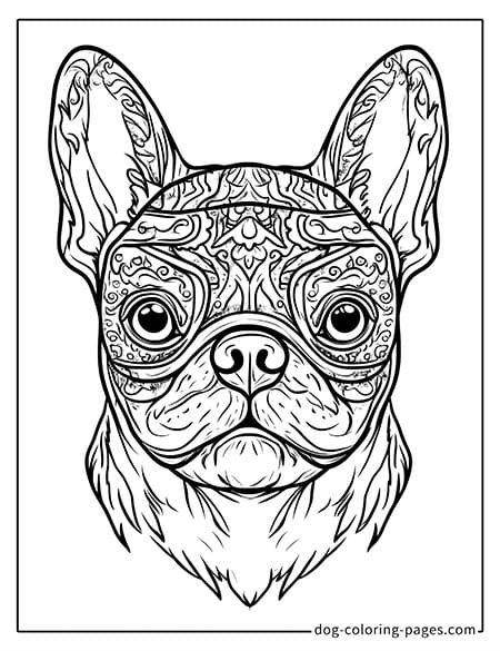 Pug Coloring Page - with face patterns-08