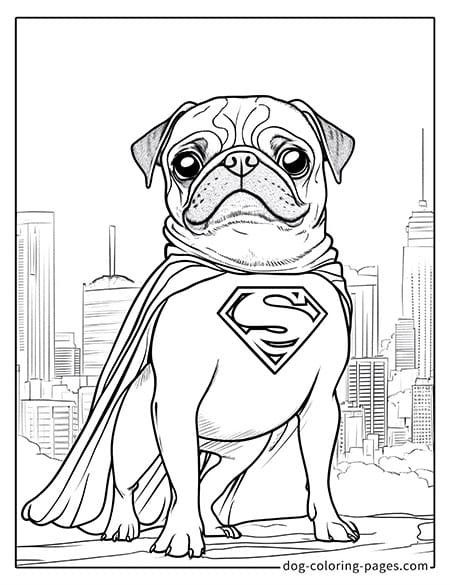 Pug Coloring Page - superhero costume-10