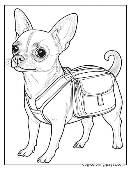 Disegni da colorare di cani chihuahua con una piccola borsa -01