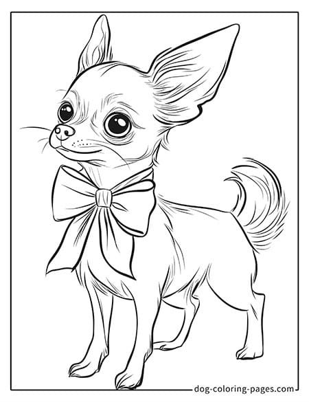 chihuahua dog coloring pages with a bow tie-03