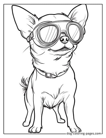 chihuahua dog coloring pages wearing goggles-08