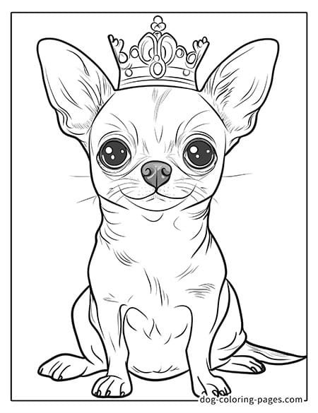 chihuahua dog coloring pages wearing a crown-10