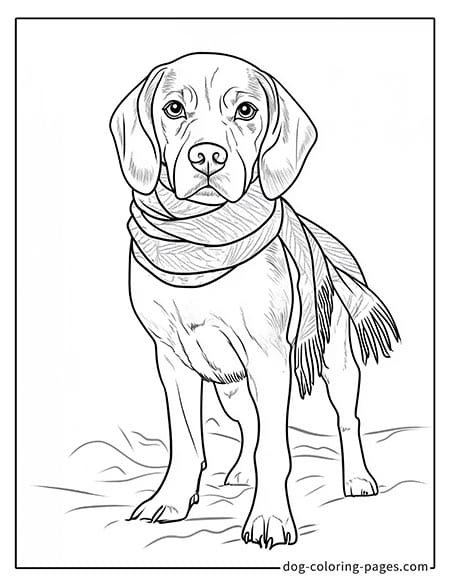 christmas coloring pages dogs - wearing a scarf 08