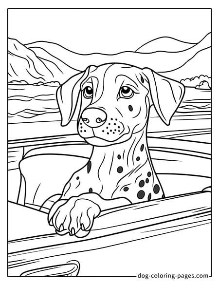 dalmatian dog coloring page-03