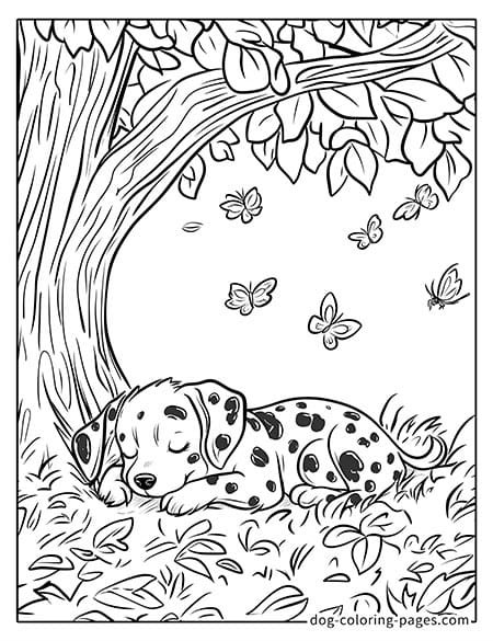 dalmatian dog coloring page-06