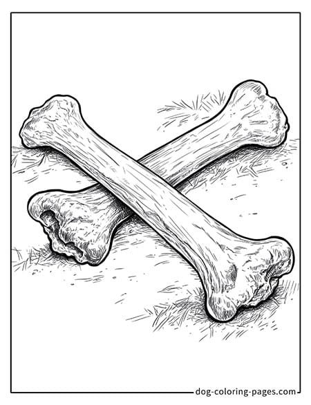 Two crossed dog bone coloring page 05