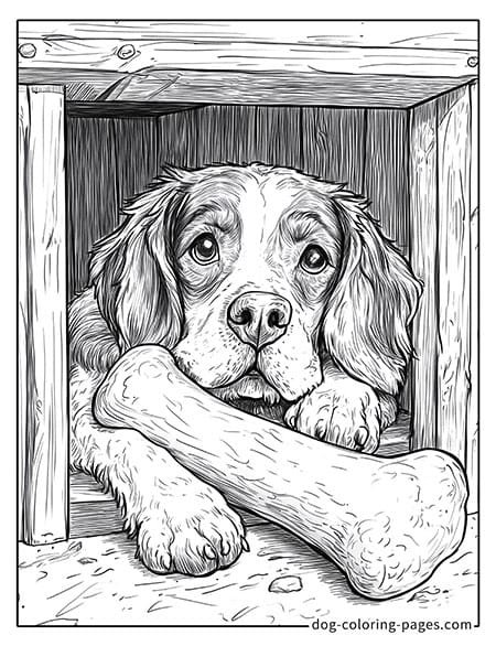 lying inside a doghouse with a dog bone coloring page 08