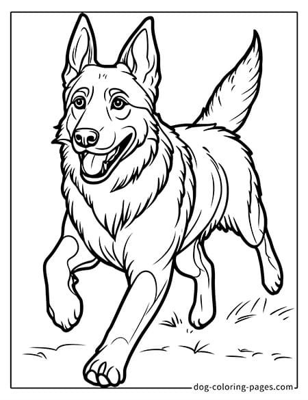 Running german shepherd dog coloring pages-04