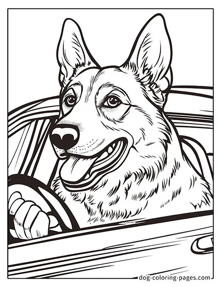 german shepherd dog coloring pages driving a car-09