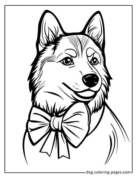 husky dog coloring pages sitting on the ground-02