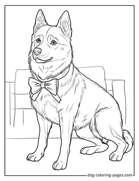 husky dog coloring pages wearing a bowtie-05