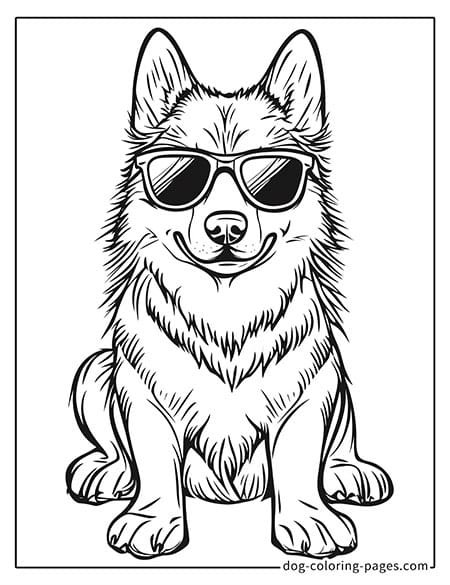 Disegni da colorare di cani husky - indossare occhiali da sole-06