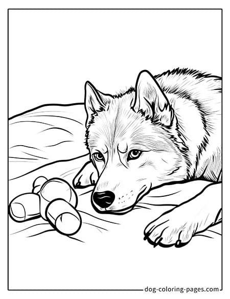 Disegni da colorare di cani husky - sdraiati sul letto-07