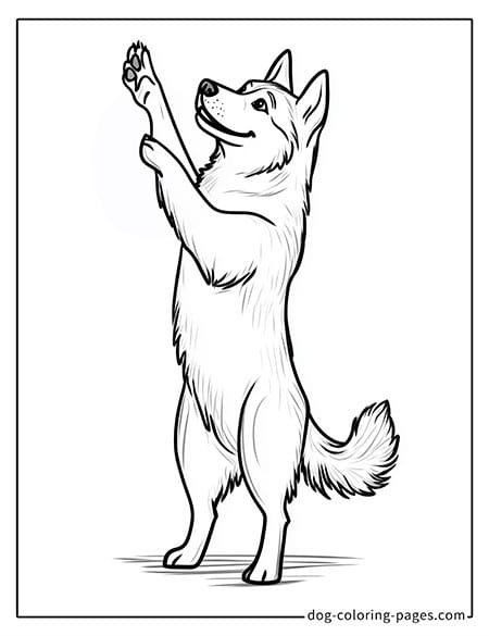 husky dog coloring pages - dancing-08