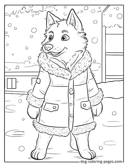 husky dog coloring pages - wearing a down jacket-10