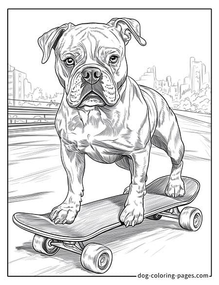 Boxer dog coloring pages and scooters 03