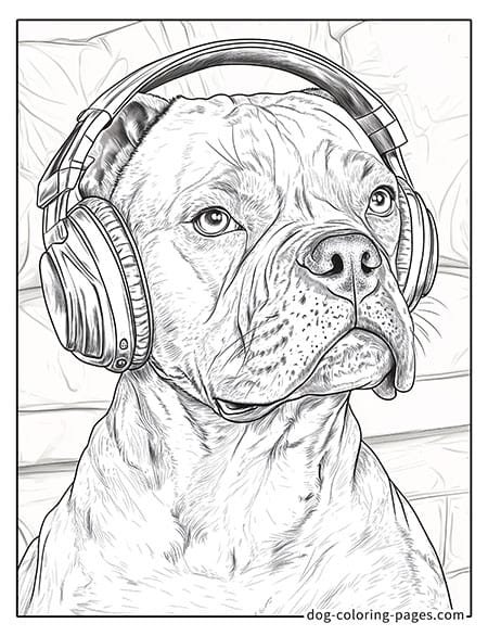 Boxer dog coloring page with A headset on your head 04