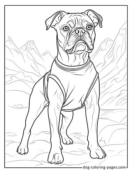 Boxer dog coloring page in a running position 10