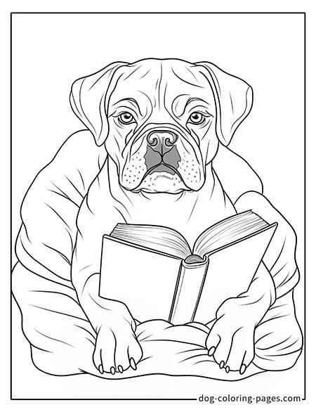 Boxer dog coloring pages sitting calmly 12