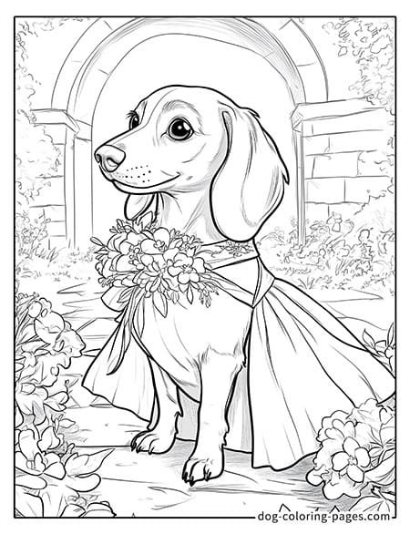 coloring pages of wiener dogs wearing a dress 05