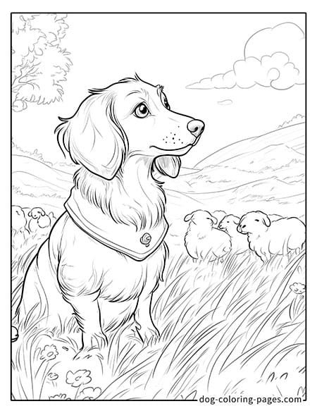 coloring pages of wiener dogs sitting in the grass 10