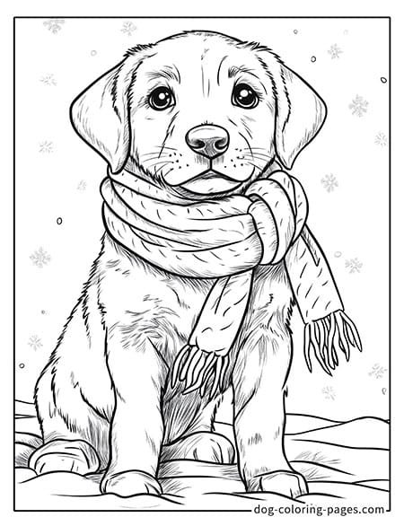 Cute puppy dog coloring page - Puppy in scarf in the snow 13