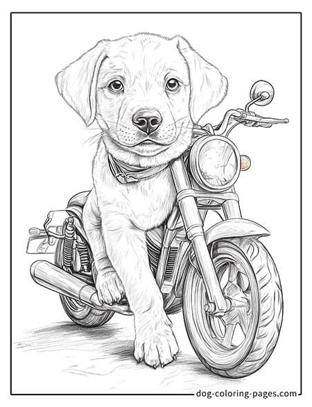 Cute puppy dog coloring page - Puppy riding a motorcycle 15