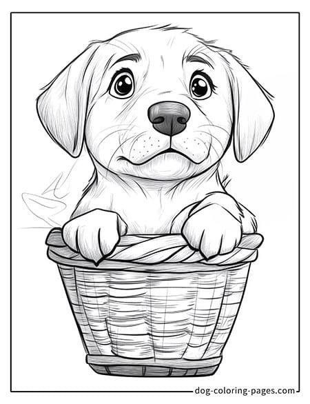 Cute puppy dog coloring page - Puppy sitting in a bamboo basket 21