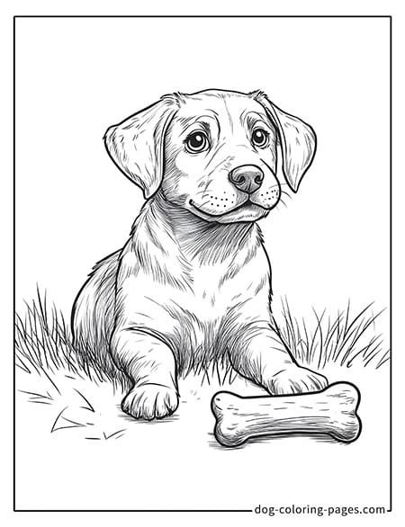 Cute puppy dog coloring page - Puppy with a bone 22