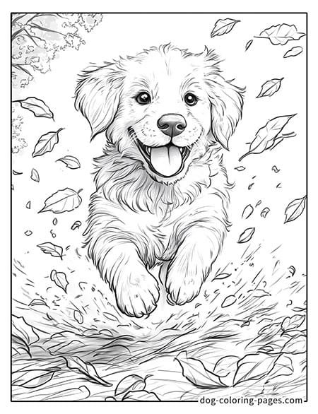 Cute puppy dog coloring page - Puppy running in the forest 25