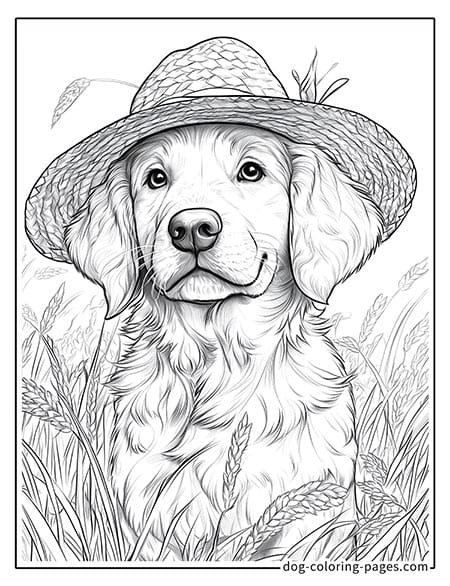 Cute puppy dog coloring page - Puppy wearing a sun hat 28