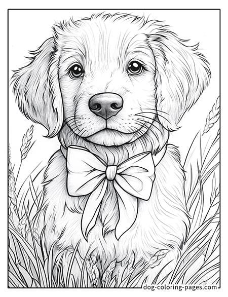 Cute puppy dog coloring page - Puppy with a bow in the grass 33