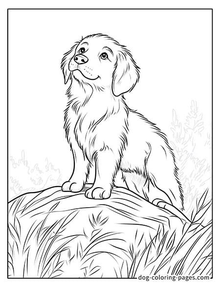 Cute puppy dog coloring page - Puppy standing on a rock 35