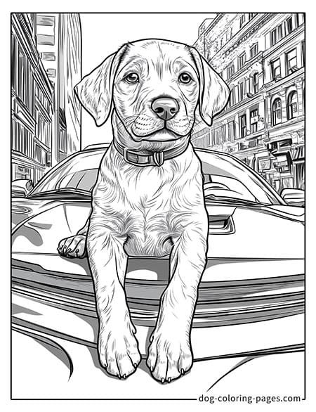 Cute puppy dog coloring page - Puppy lying on a car 40