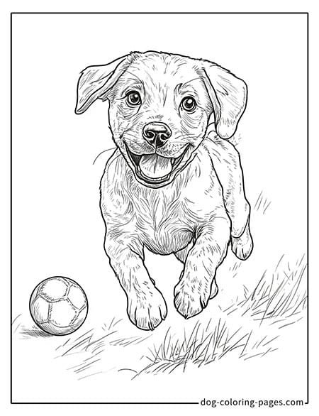 Cute puppy dog coloring page - Puppy running 45