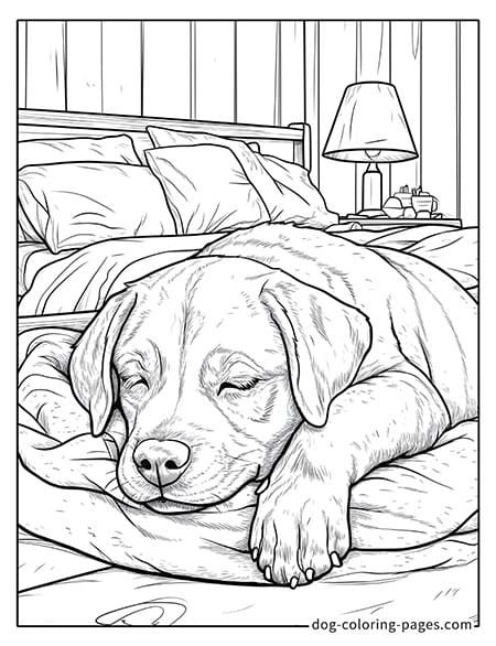 Cute puppy dog coloring page - Puppy lying on a bed 48