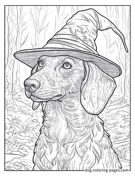 dachshund dog coloring pages wearing a wizard hat 01