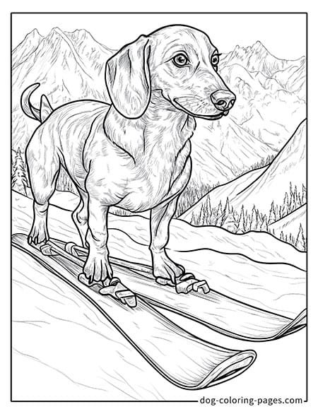 Dachshund Dog Coloring Page - Cute Dachshund Skiing in the Snow