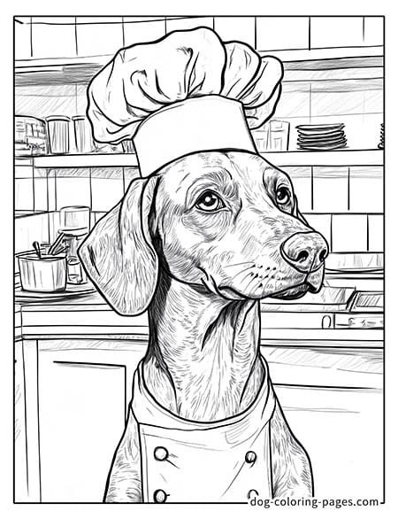 Dachshund dog coloring page - Dachshund wearing a chef hat