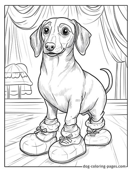 Dachshund dog coloring page - Dachshund wearing clown shoes